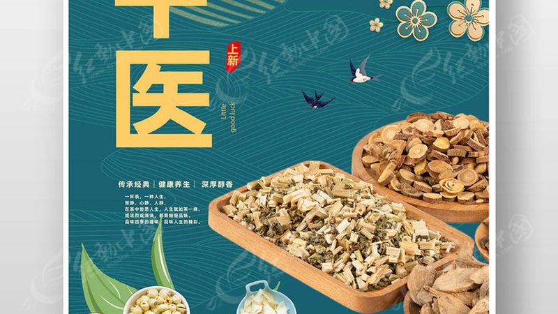 广州中医康复理疗馆：揭秘治疗流程与关键环节